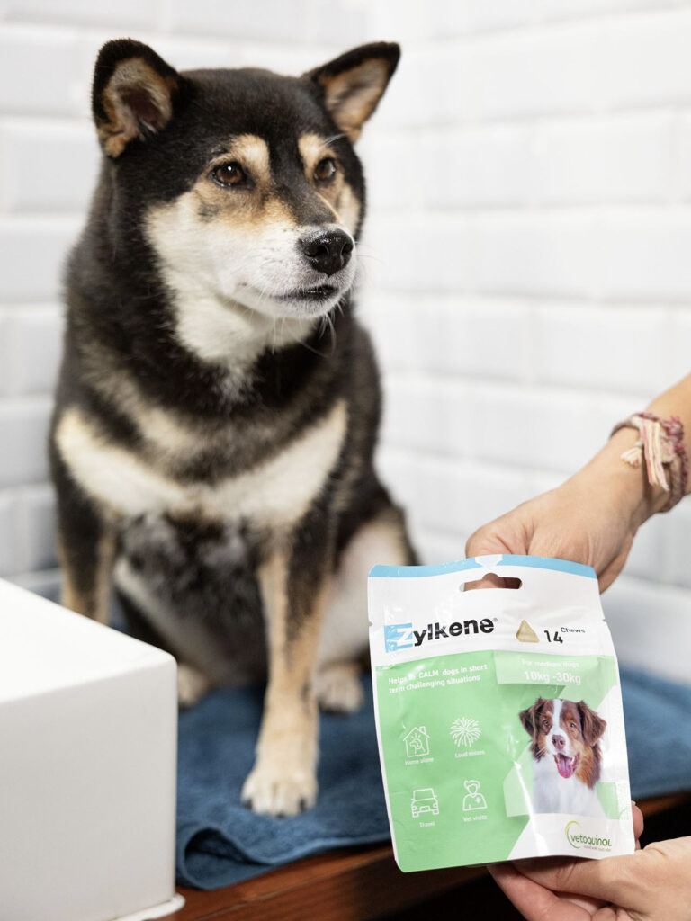 ShibaCrewLife-partenariat-produit-vétérinaire