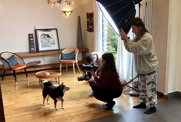 shooting-publicite-canin-studio ShibaCrewLife-shooting-professionel